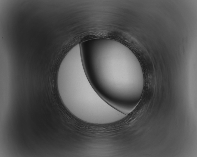 X0000097480697200802220821