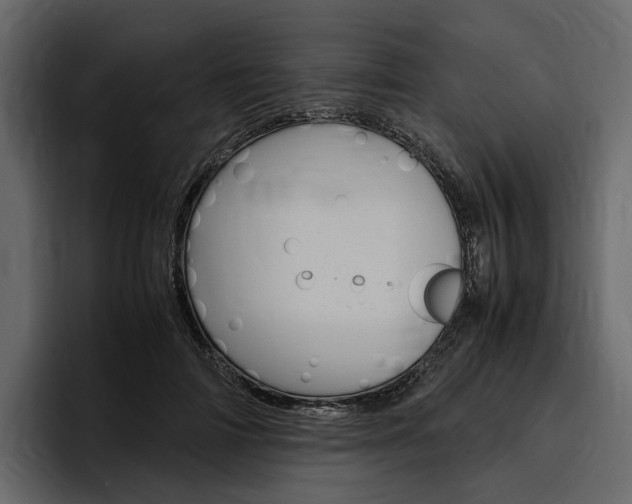 X0000097480698200802220821