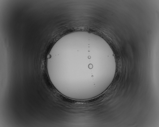 X0000097480699200802220821