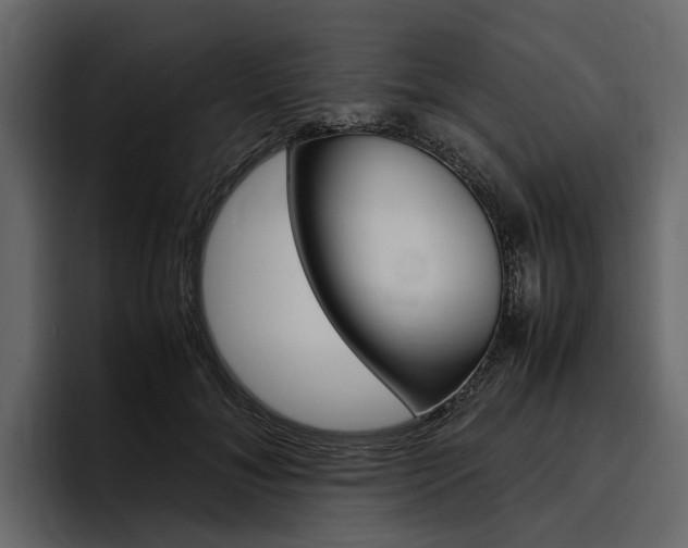 X0000097480700200802220821