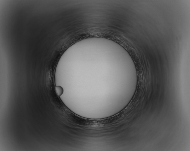X0000097480702200802220821