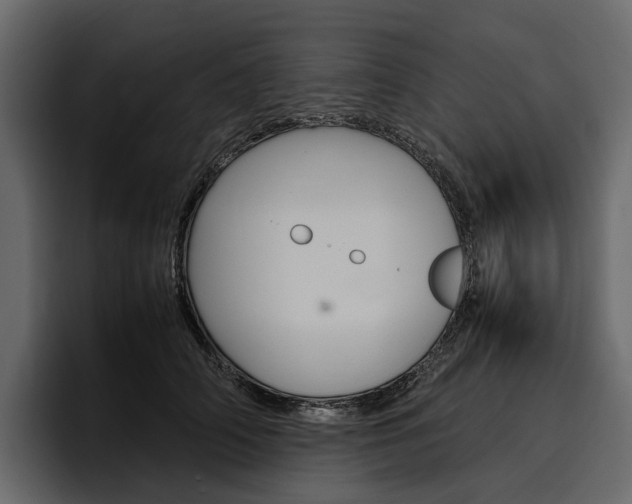 X0000097480706200802220821