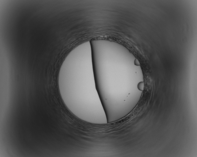 X0000097480707200802220821