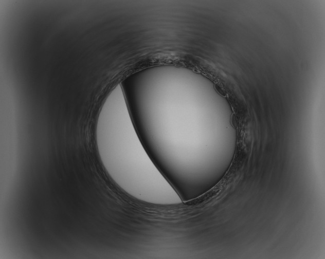 X0000097480708200802220821