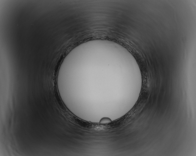 X0000097480710200802220821