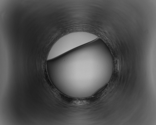 X0000097480712200802220820