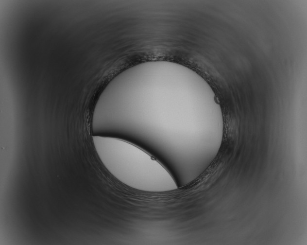 X0000097480719200802220820