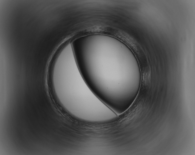 X0000097480724200802220820