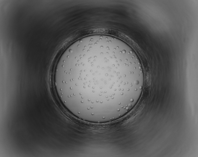 X0000097480725200802220820