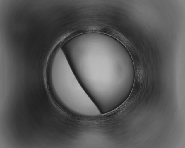 X0000097480726200802220820