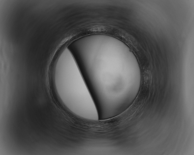 X0000097480727200802220820