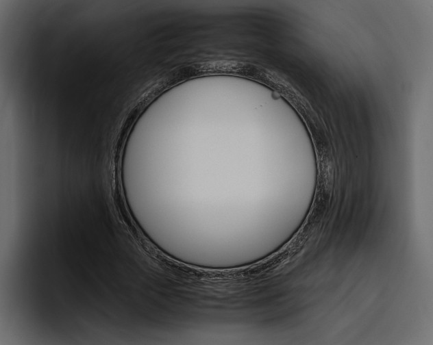 X0000097480729200802220820