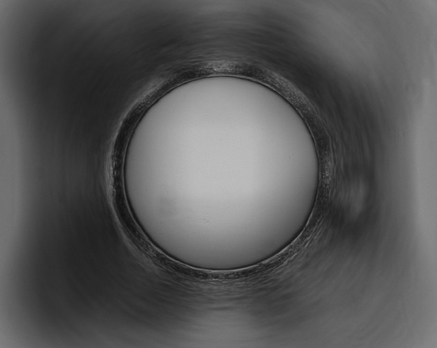 X0000097480730200802220820