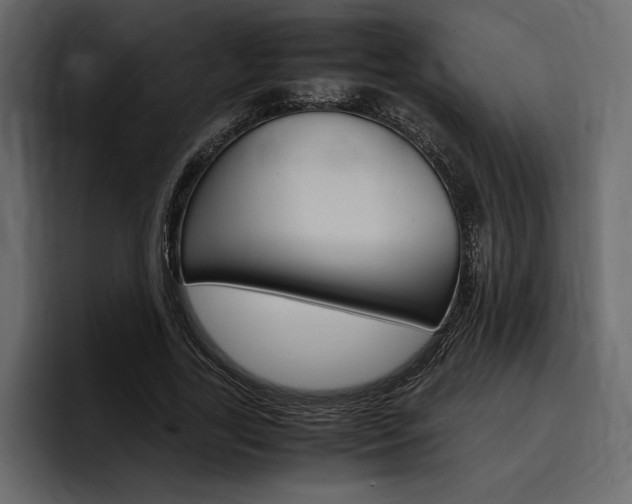 X0000097480731200802220820
