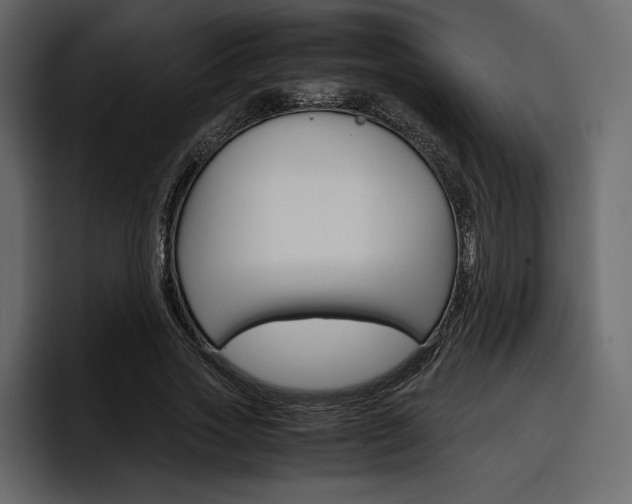 X0000097480733200802220820
