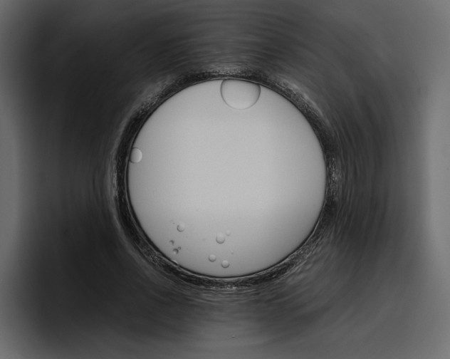 X0000097480734200802220820