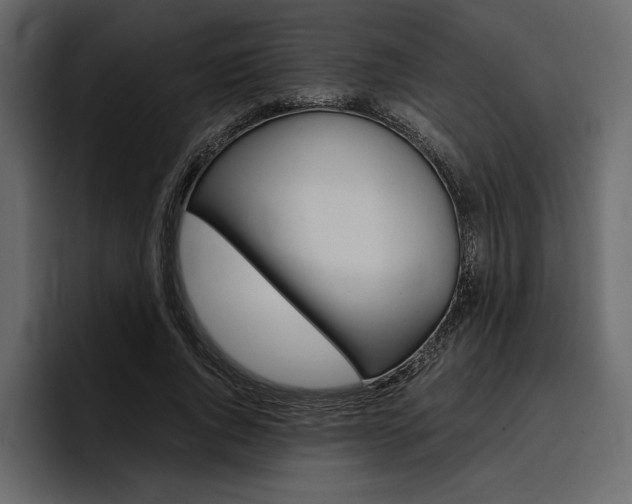 X0000097480736200802220820