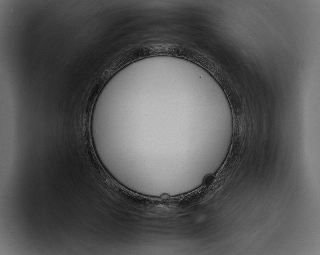 X0000097480737200802220820