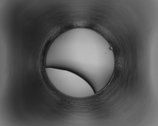 X0000097480738200802220820