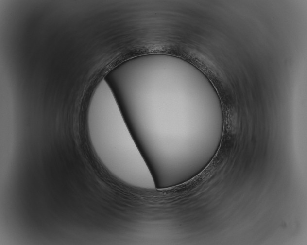 X0000097480740200802220820