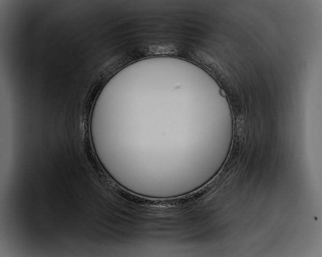 X0000097480741200802220820