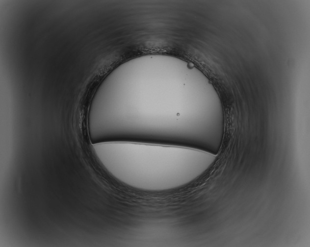 X0000097480742200802220820