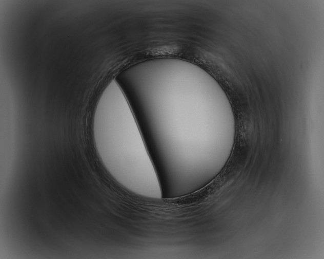 X0000097480743200802220820