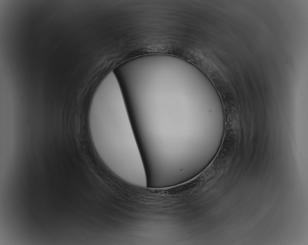X0000097480744200802220820