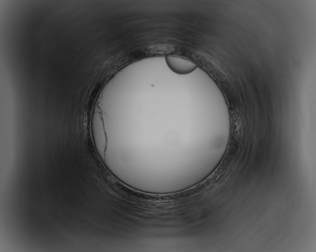 X0000097480745200802220820