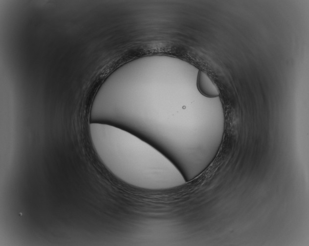 X0000097480746200802220820