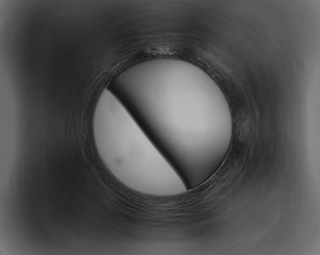 X0000097480747200802220820