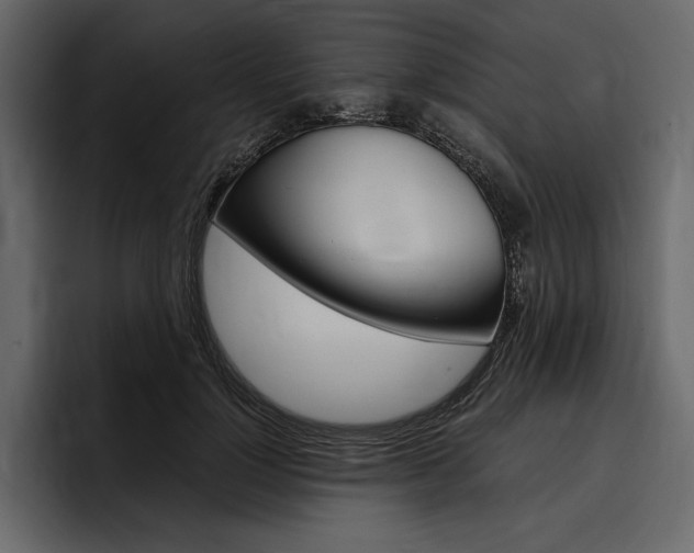 X0000097480748200802220820