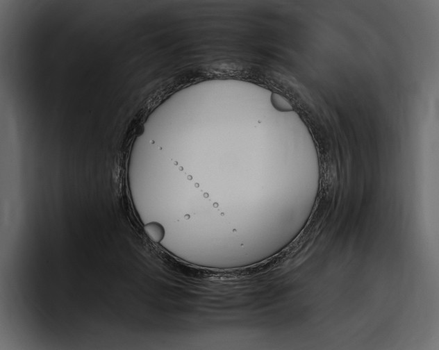 X0000097480749200802220820