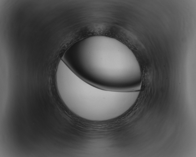 X0000097480750200802220820