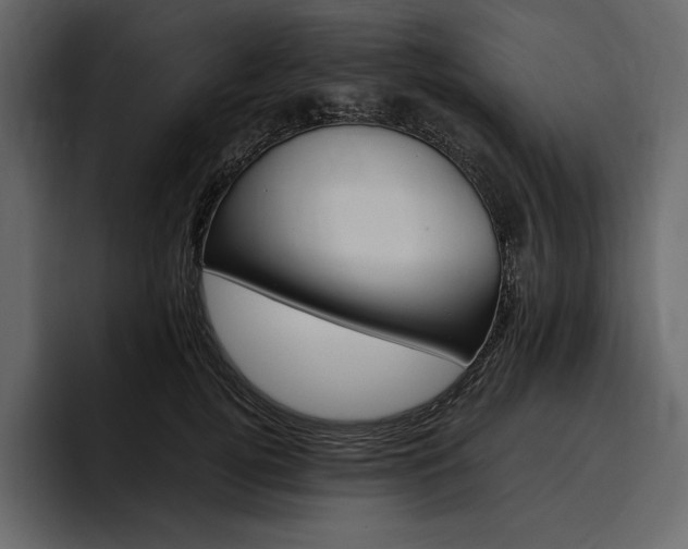 X0000097480752200802220820