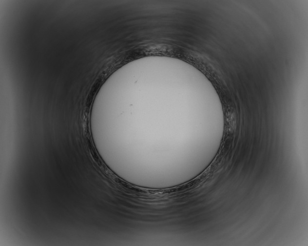 X0000097480753200802220820