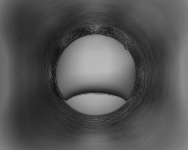 X0000097480754200802220820
