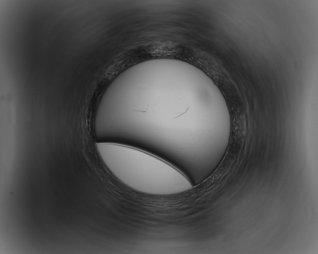 X0000097480755200802220820