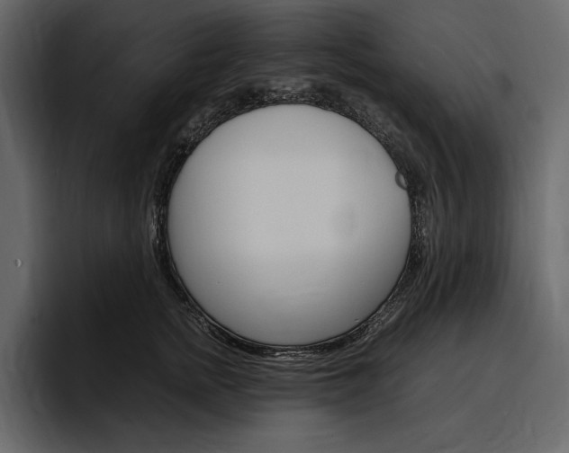 X0000097480758200802220820