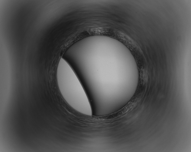 X0000097480760200802220820