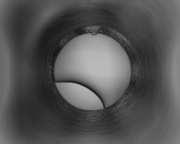 X0000097480761200802220820