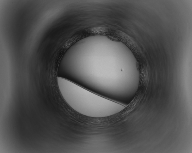 X0000097480762200802220820