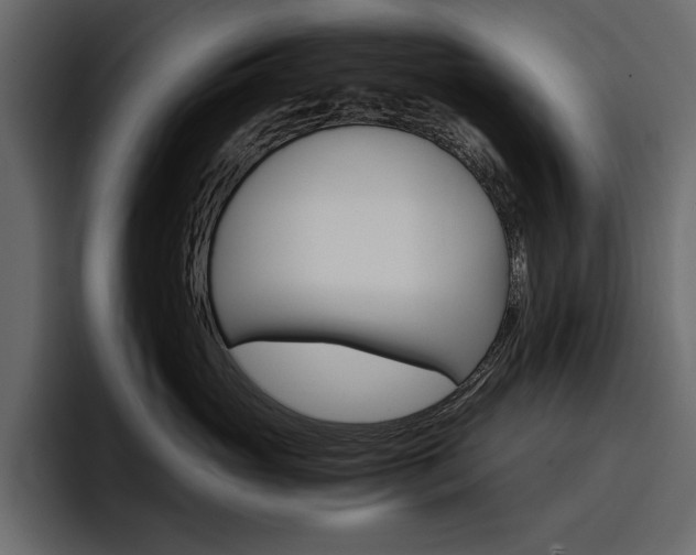 X0000097480765200802220820