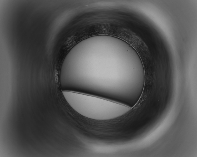 X0000097480766200802220820