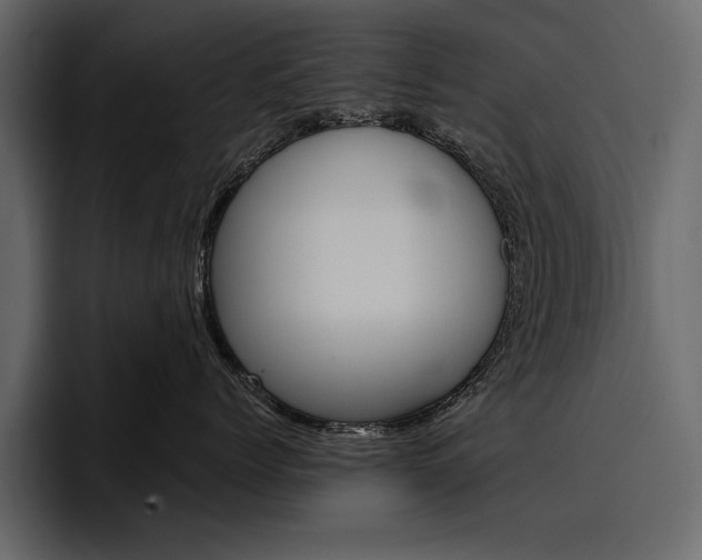 X0000097480768200802220820