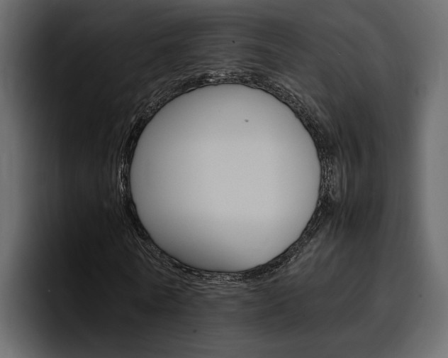 X0000097480770200802220820