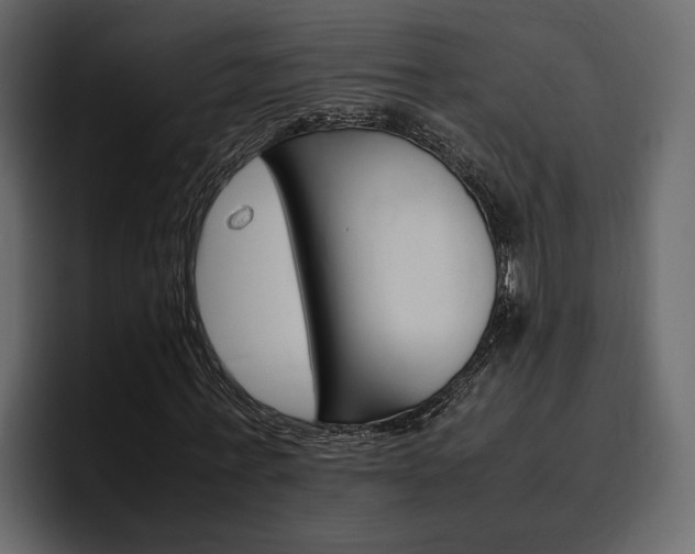 X0000097480771200802220820