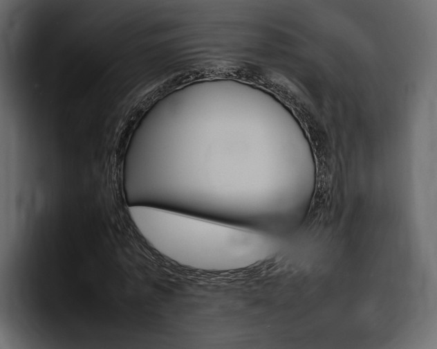 X0000097480773200802220820