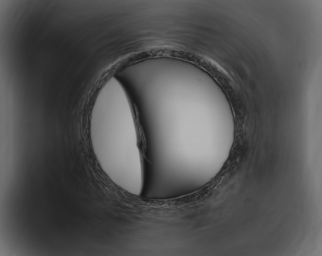 X0000097480775200802220820