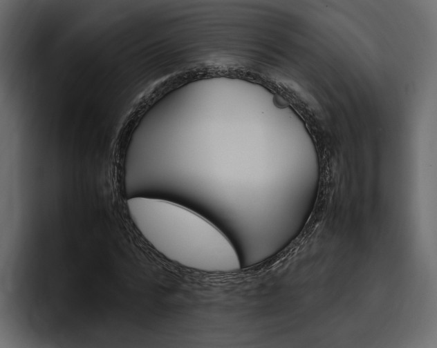 X0000097480776200802220820